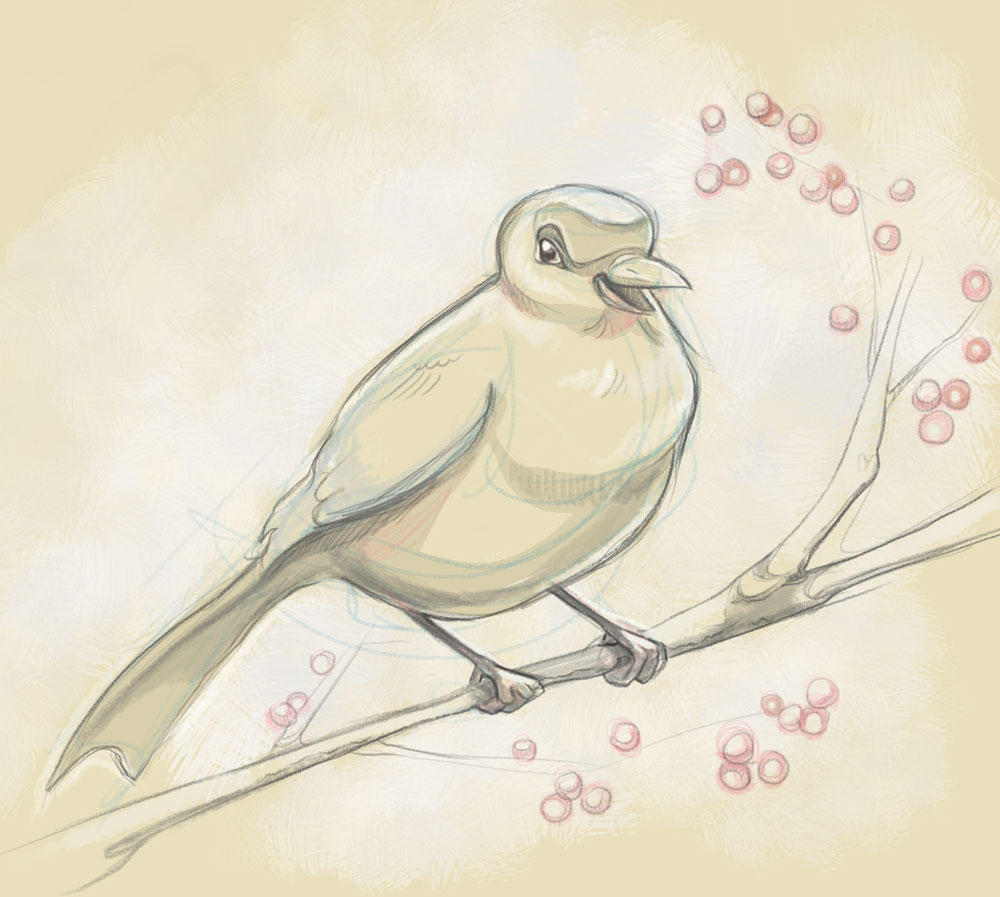 Bird_Sketch